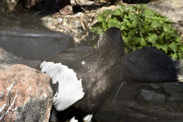 Similar image 21492466