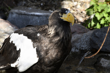 Similar image 21492469