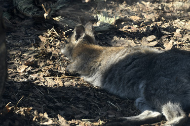 Similar image 21492470