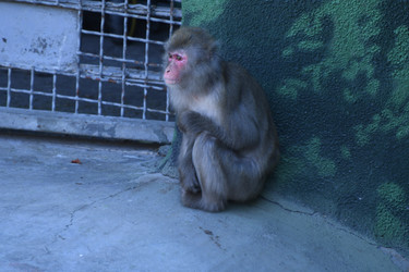 Similar image 21492471