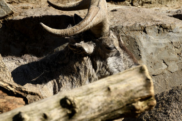 Similar image 21492473