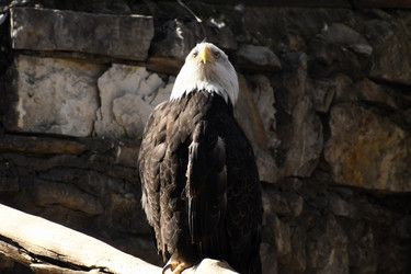 Similar image 21493831