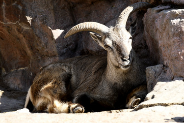 Similar image 21495232