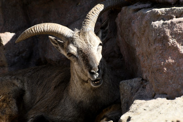 Similar image 21495253