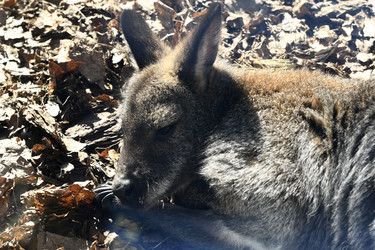 Similar image 21495271