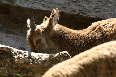 Similar image 21495272