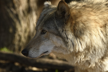 Similar image 21499691