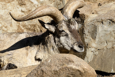 Similar image 21499692