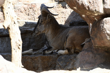 Similar image 21499693