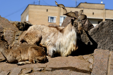 Similar image 21502427