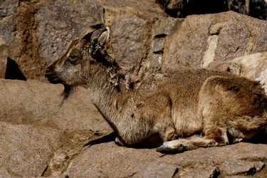 Similar image 21502732