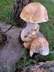 Similar image 21503202