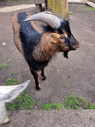 Similar image 21503622