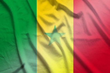 Similar image 21496991