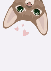 Similar image 21502000