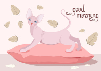 Similar image 21502002