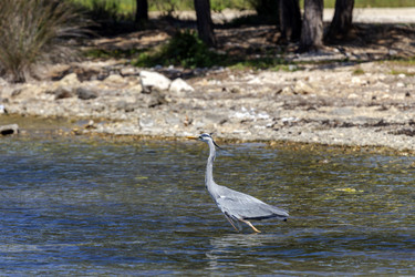 Similar image 21495080