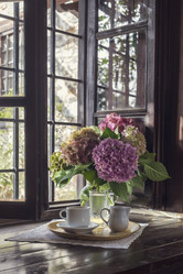 Similar image 21495588