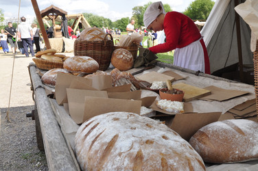 Similar image 21504330