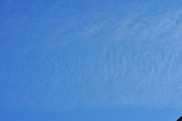 Similar image 21492506