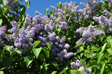 Similar image 21492507