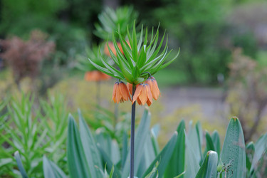 Similar image 21495099