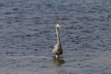 Similar image 21495589