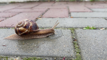 Similar image 21493864