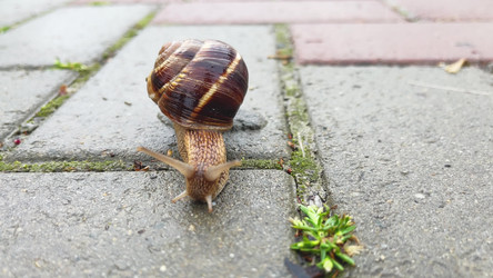 Similar image 21493865