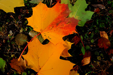 Similar image 21489403