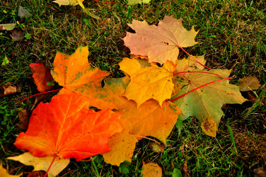 Similar image 21489405