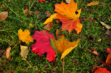 Similar image 21489406