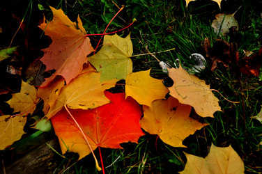 Similar image 21489614