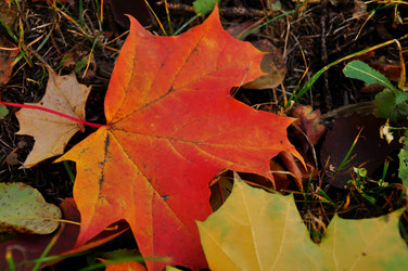 Similar image 21489615