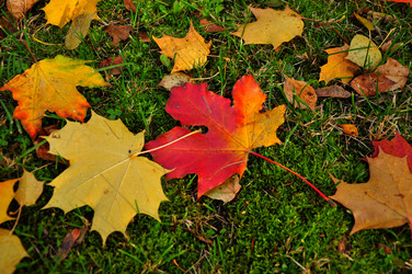 Similar image 21489616