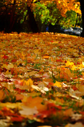 Similar image 21492511