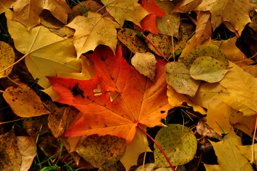 Similar image 21492512