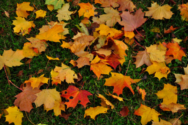 Similar image 21492513