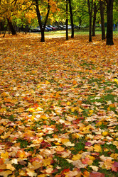 Similar image 21492514