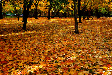 Similar image 21492515