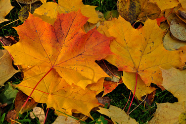 Similar image 21492517