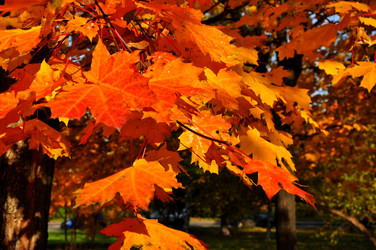 Similar image 21492519