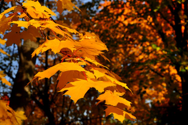 Similar image 21492520