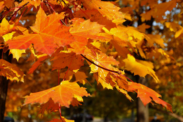 Similar image 21492523