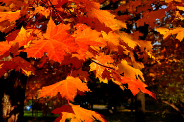 Similar image 21492525