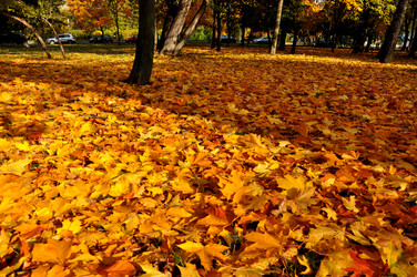 Similar image 21492526