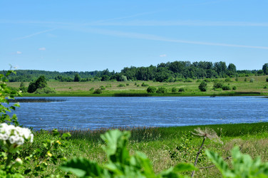 Similar image 21492527