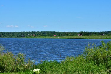 Similar image 21492529