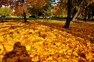 Similar image 21492530