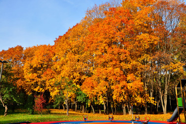 Similar image 21495233